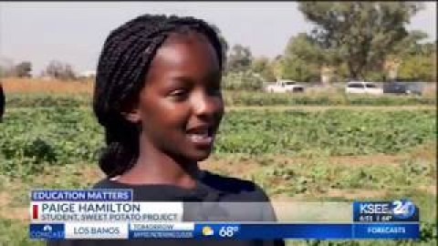 Link to Education Matters Video # 9