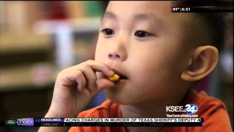 Link to Education Matters Video # 14