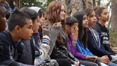 Link to Education Matters Video # 7